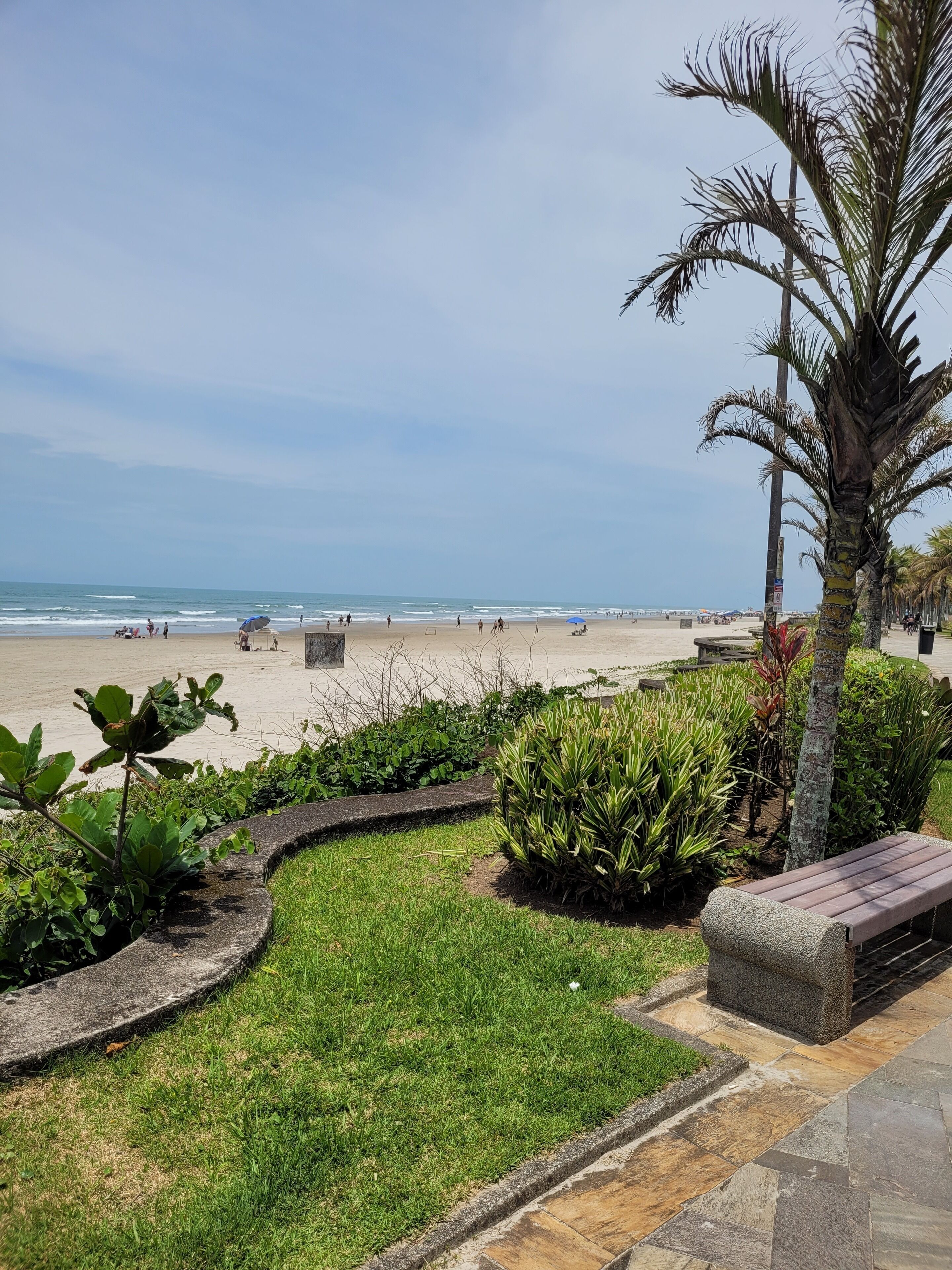 بالقرب من الشاطئ، كراسي للتشمس