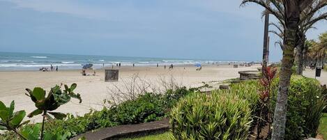 بالقرب من الشاطئ، كراسي للتشمس