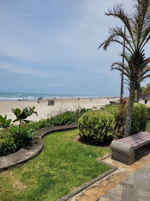 Una playa con una palmera, un banco y un sendero que lleva a la playa.