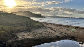 Una spiaggia con una zona erbosa e una distesa d'acqua.