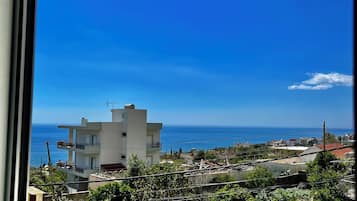 Vista des de l'allotjament