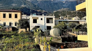 Vista de la muntanya