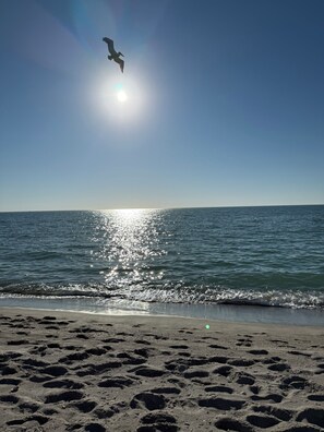 On the beach, beach towels