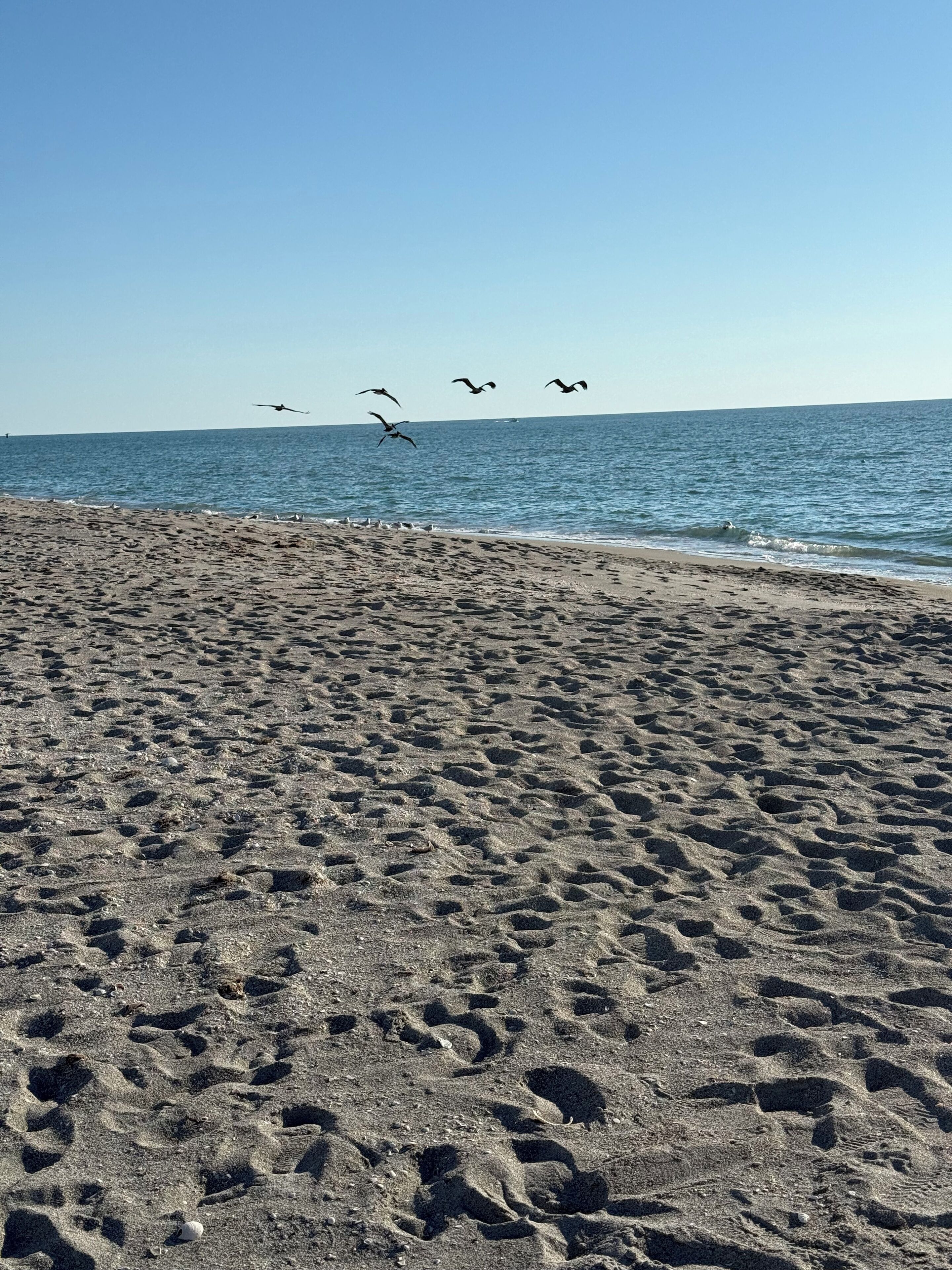 A sandy beach with footprints and a clear blue sky.