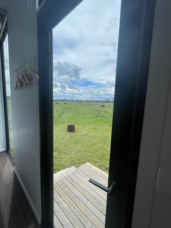 Interior - Billy Button 1 by Tiny Away (Maindample)