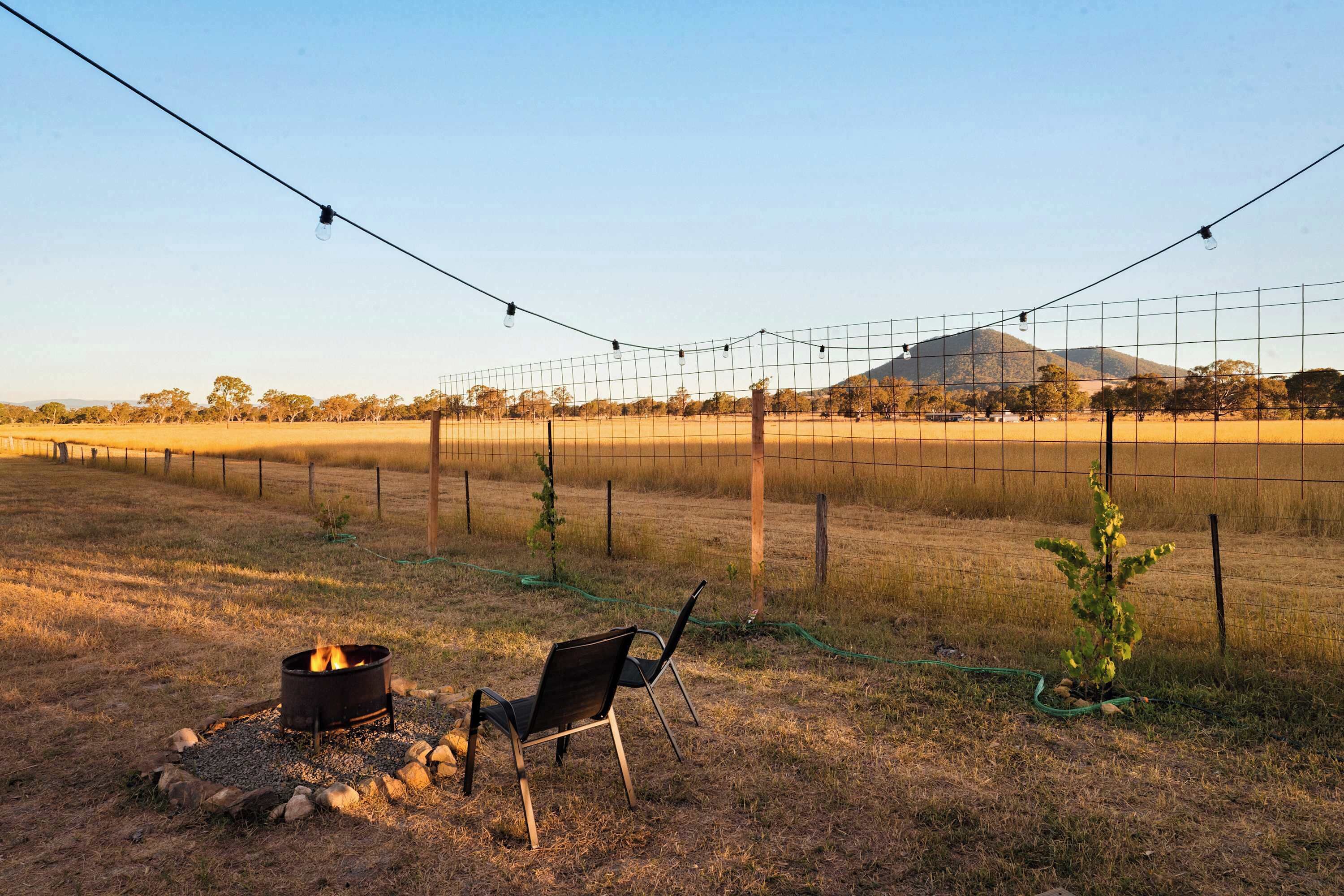 A fenced outdoor area with a fire pit, two chairs, and a small tree.