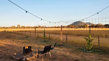A fenced outdoor area with a fire pit, two chairs, and a small tree.