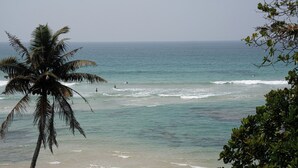 Ein Strand mit klarem Wasser, einer Palme und Blick aufs Meer.