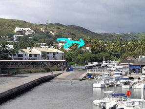 Marina