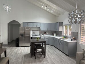 Fridge, oven, stovetop, electric kettle