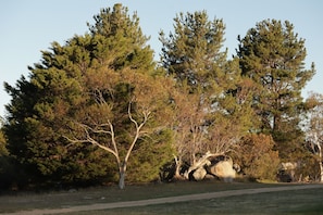 Miscellaneous - Runway View Cottage at Touchdown Cottages (Jindabyne)