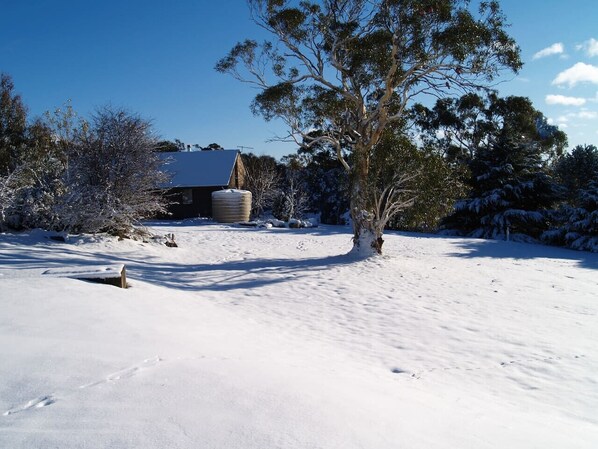 A snow-covered landscape with a house and a tree in the foreground.