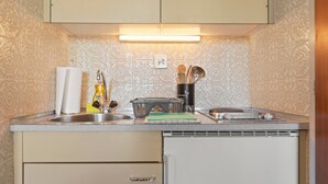 A compact kitchen with a sink, a bottle of dish soap, a paper towel dispenser, and a small dish rack. - Crans-Montana center : Studio Ski 2 pers (Crans-Montana)