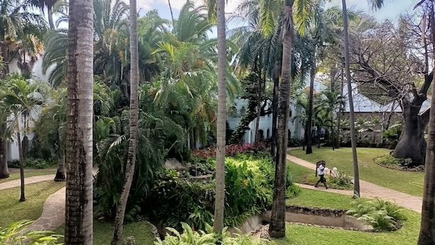 A lush garden with palm trees, a pathway, and a building in the background. - Amara Blue Resort (Mandera)