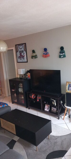 Living area - Apartment (Haguenau)