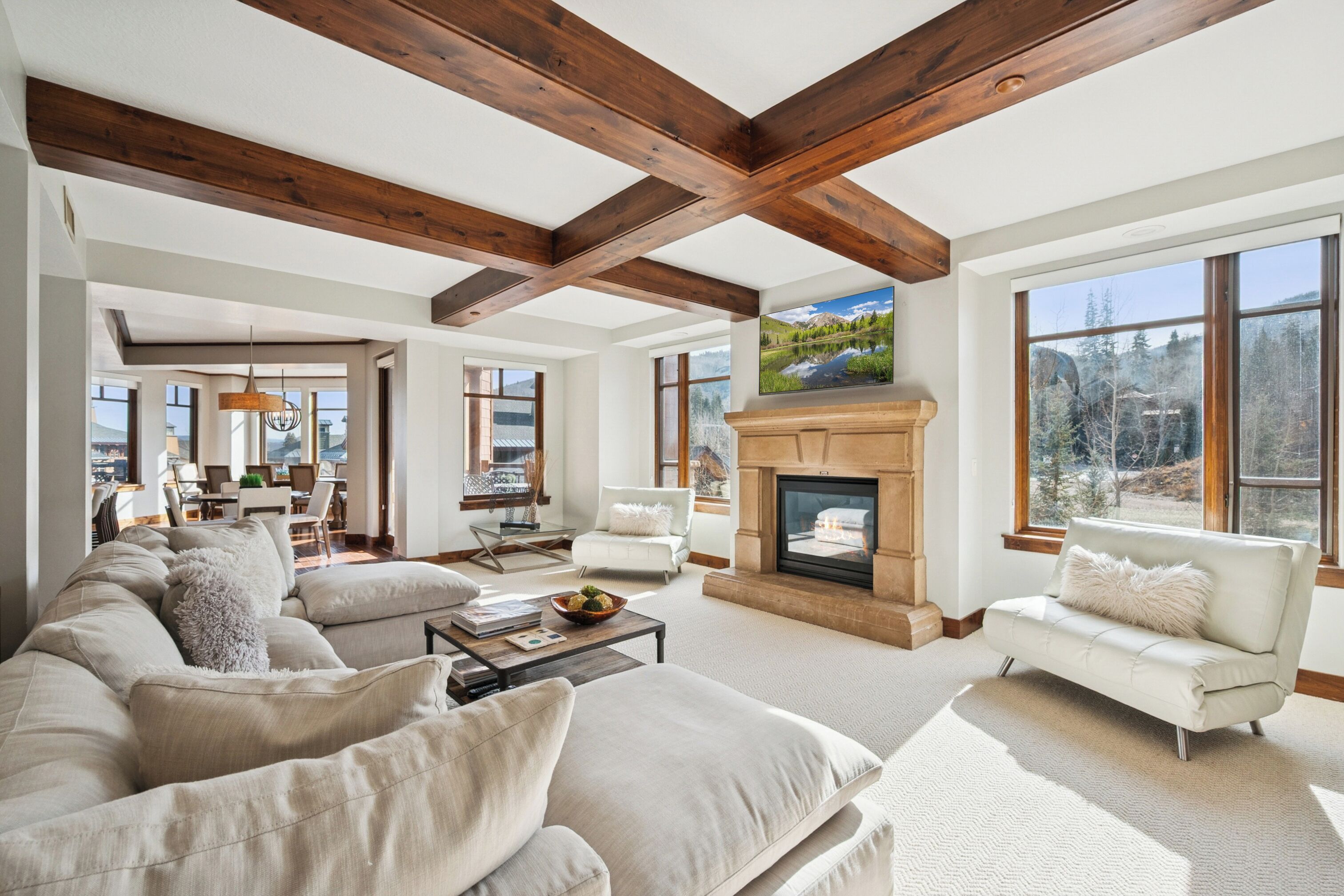 TV connectée, cheminée, baby-foot, table de tennis de table