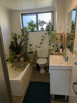 Towels, soap, toilet paper