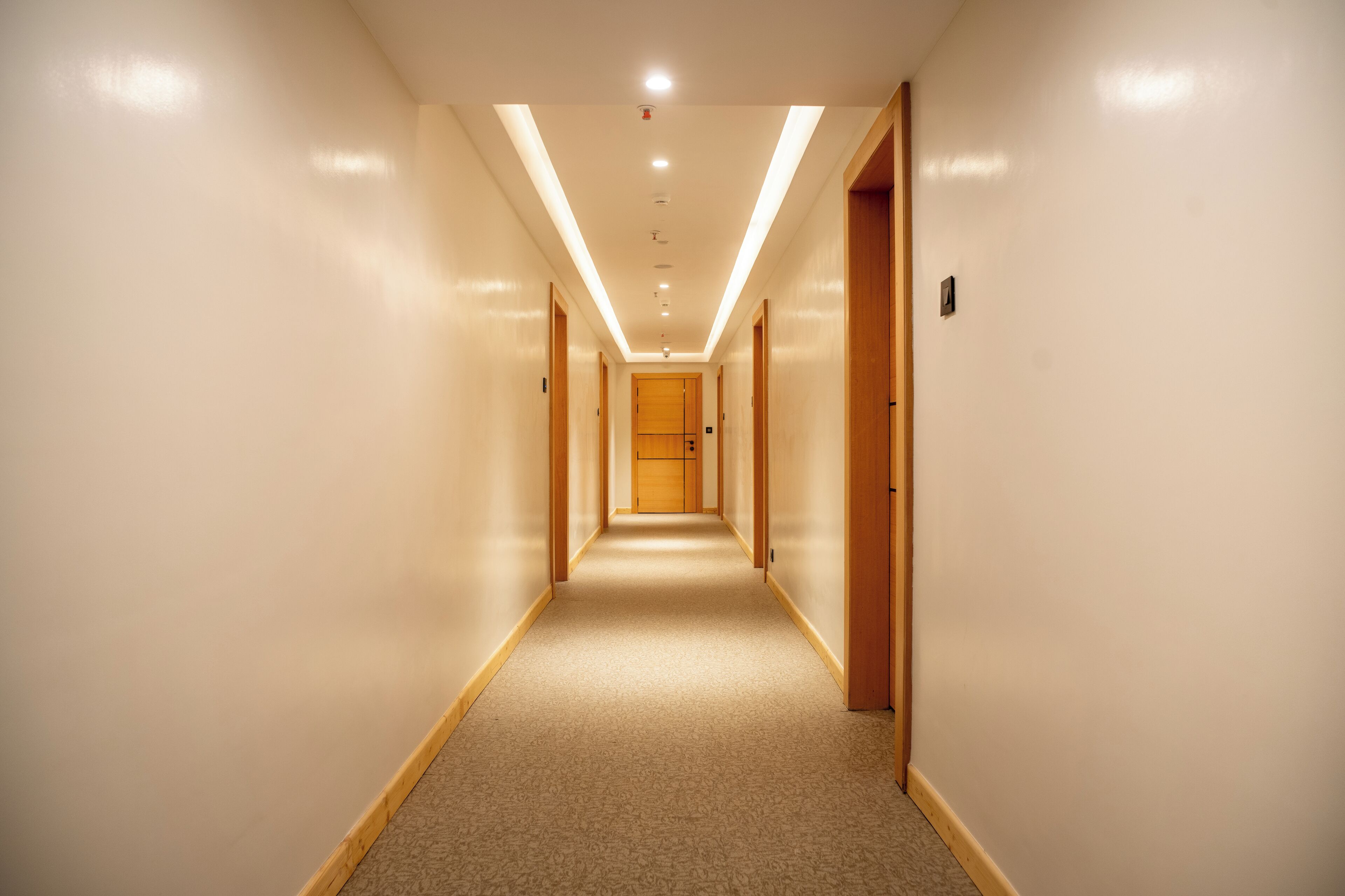 A hotel hallway with carpeted floors, wooden doors, and recessed lighting.