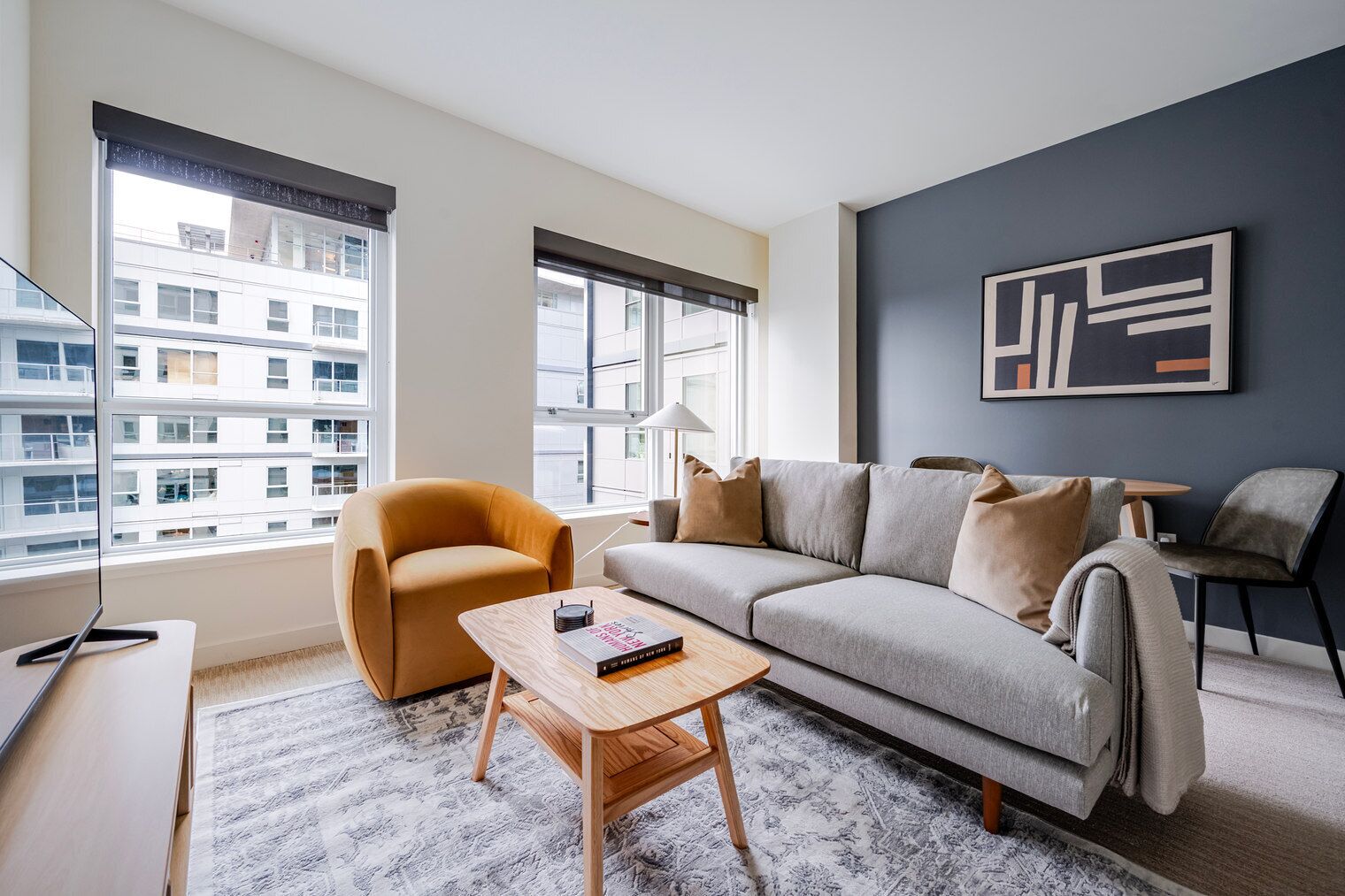 Télévision, chaîne hi-fi