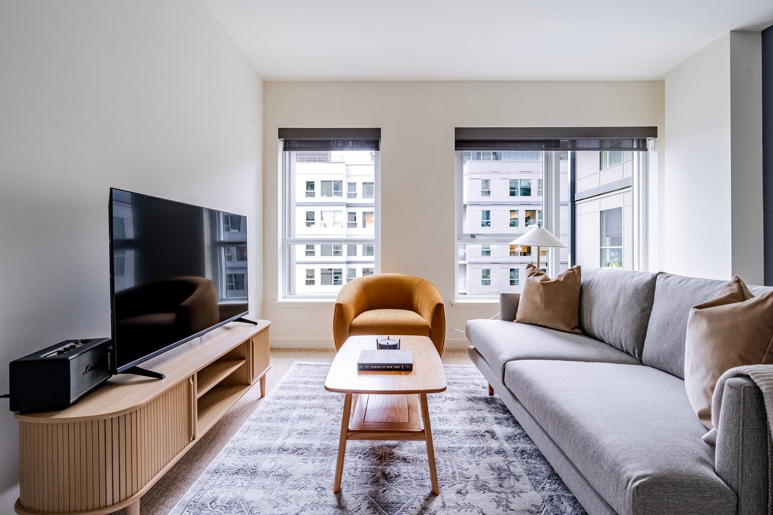 Fernseher, Stereoanlage