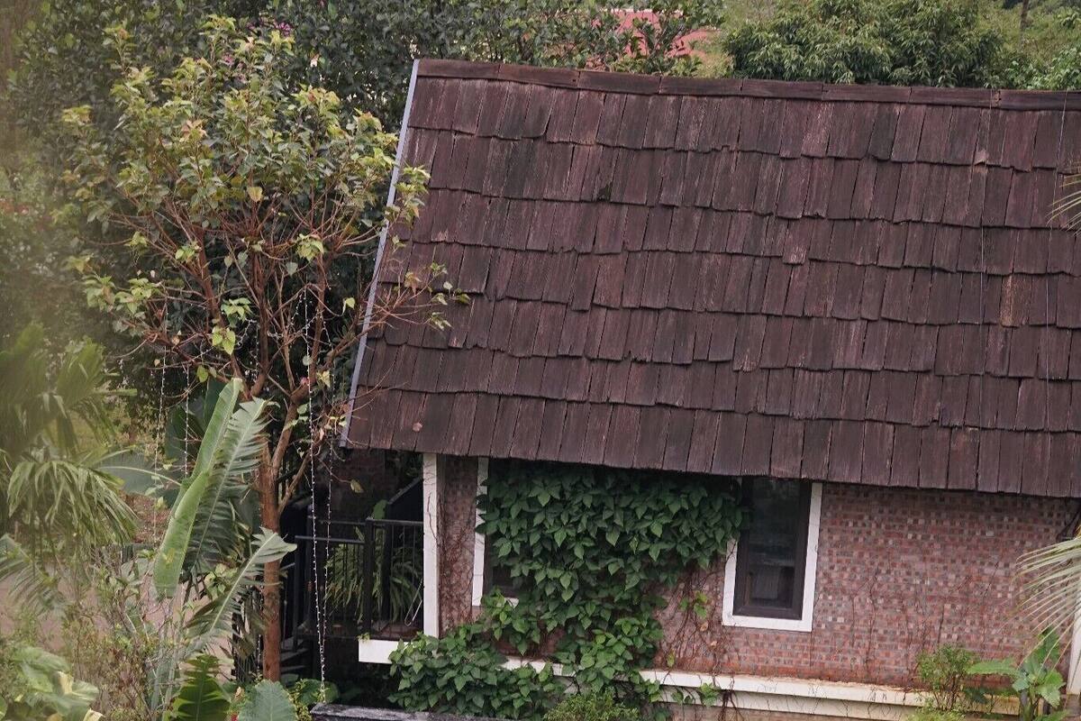 A swimming pool with a wooden deck, surrounded by lush greenery and a brick building with a tiled roof.
