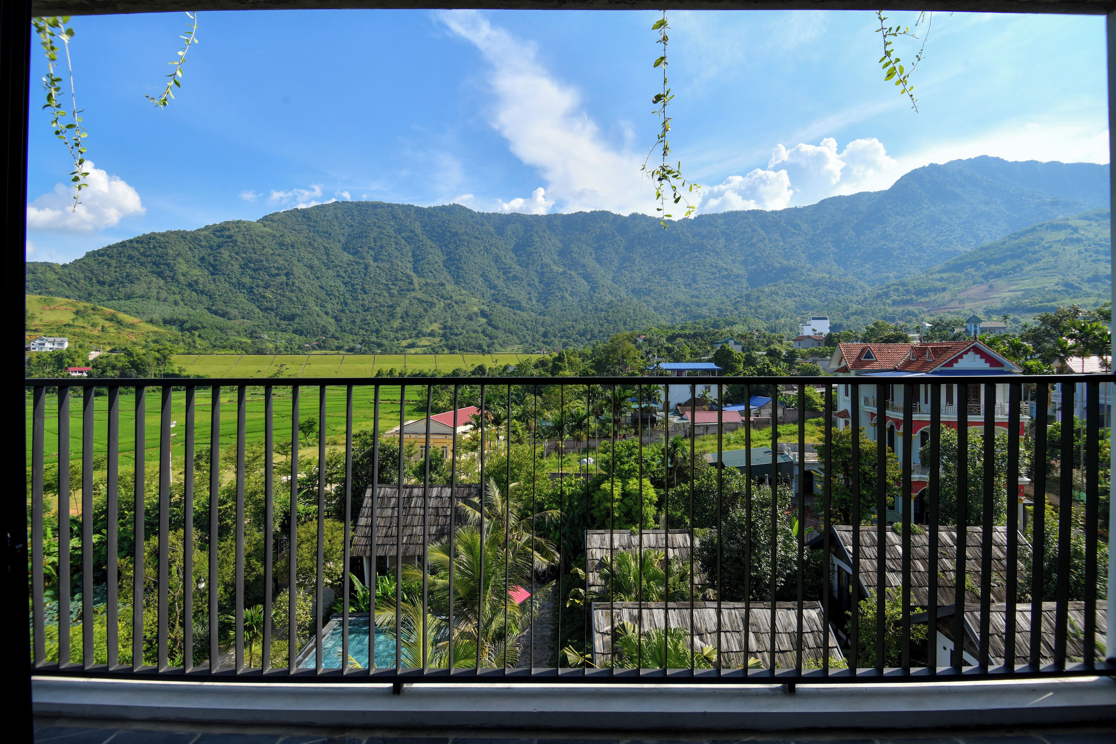 Escriptori i wifi gratuïta 