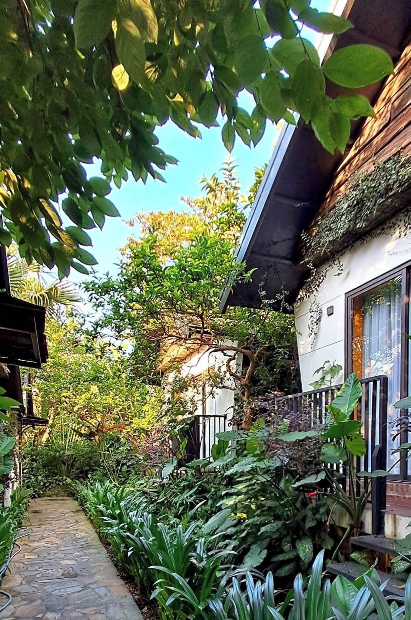 Escriptori i wifi gratuïta 