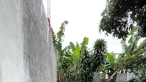 A small garden area with a gravel path, a bicycle, and potted plants.