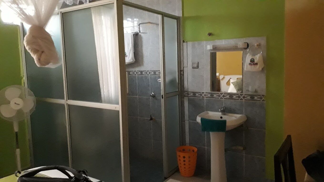 A bathroom with a shower, a sink, a mirror, and a fan.