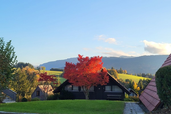 Ferienwohnung Schäfer (DE Siegsdorf) - Schäfer Eugen und Viktoria -