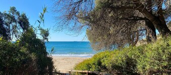 Villa Playa del Sur   250m from the Sea   7 Suites  16+ Comfortably · Sea Views