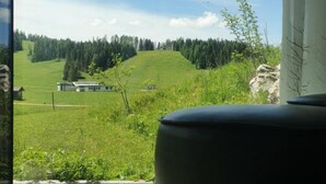 A view from a window overlooking a green landscape with a house and trees. - Apartment HAL (Hinterstoder)
