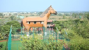 Une grande statue de cheval se dresse dans un espace ouvert, délimité par une clôture, et est entourée de verdure. On aperçoit des bâtiments en arrière-plan.