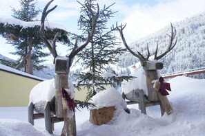 Property grounds - Country house Taxach Saalbach (Saalbach)