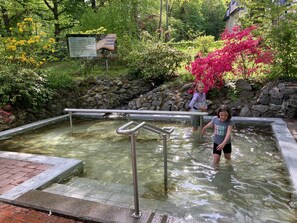 Pool - Apartment "Harzblick" with Balcony and Wi-Fi (Bad Harzburg)