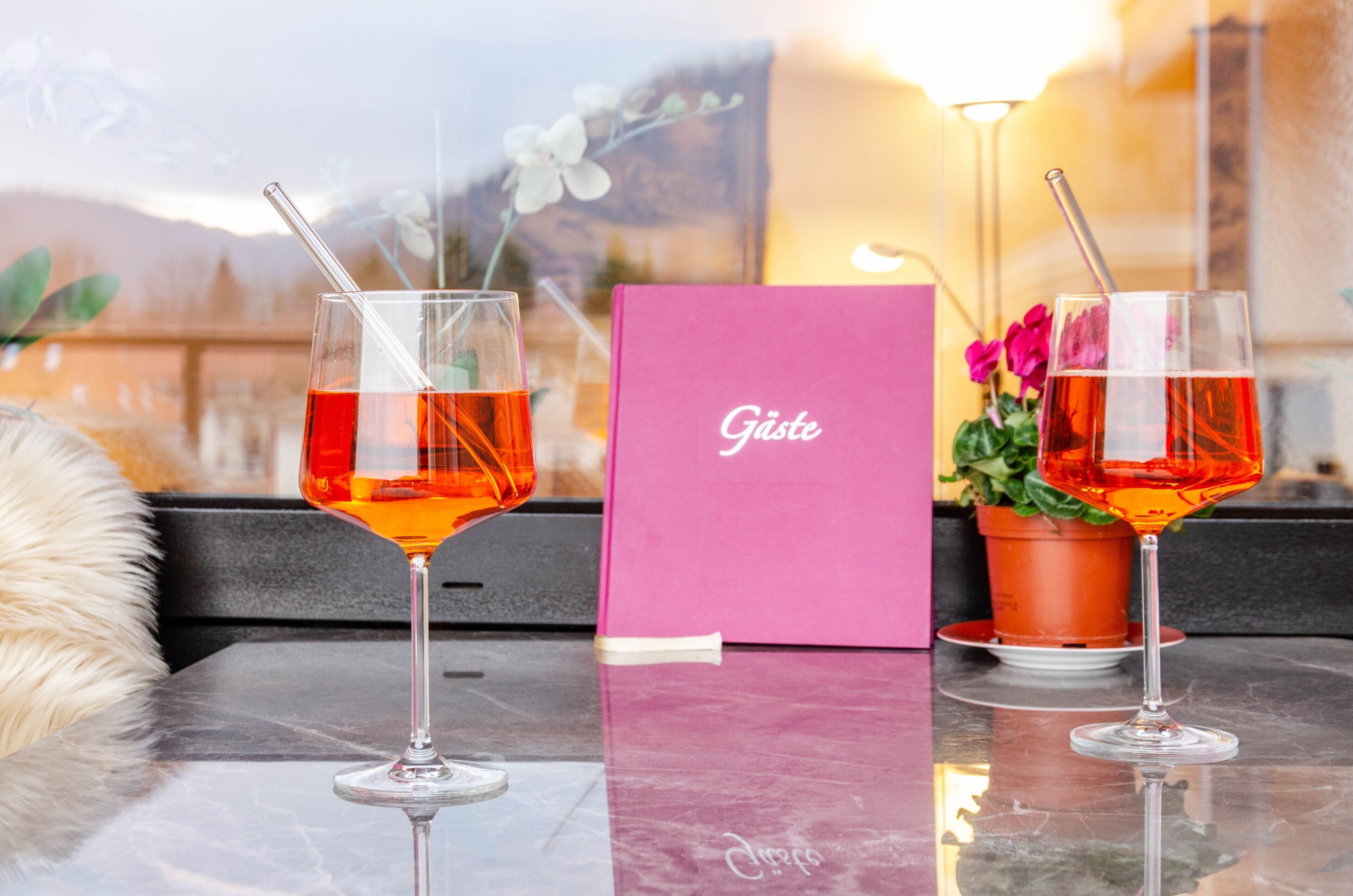Zwei Gläser rotes Getränk auf einer spiegelnden Oberfläche, im Hintergrund eine Zimmerpflanze und eine rosa Karte mit der Aufschrift 'Gäste'.