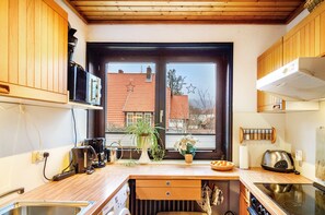 Frigorífico, microondas, horno y placa de cocina