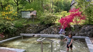 Ein Schwimmbecken mit einer Metallleiter und einer Steinmauer im Hintergrund.