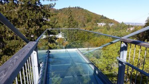 Eine Glasbrücke mit Metallgeländern, umgeben von Bäumen und einer hügeligen Landschaft.