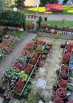 Parco della struttura