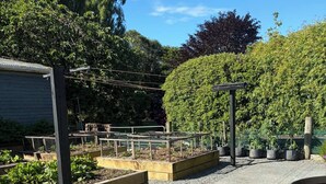 A garden pathway with raised beds and a wooden barrel.