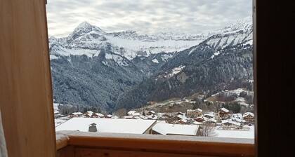 Appartement dans un chalet au coeur des pistes