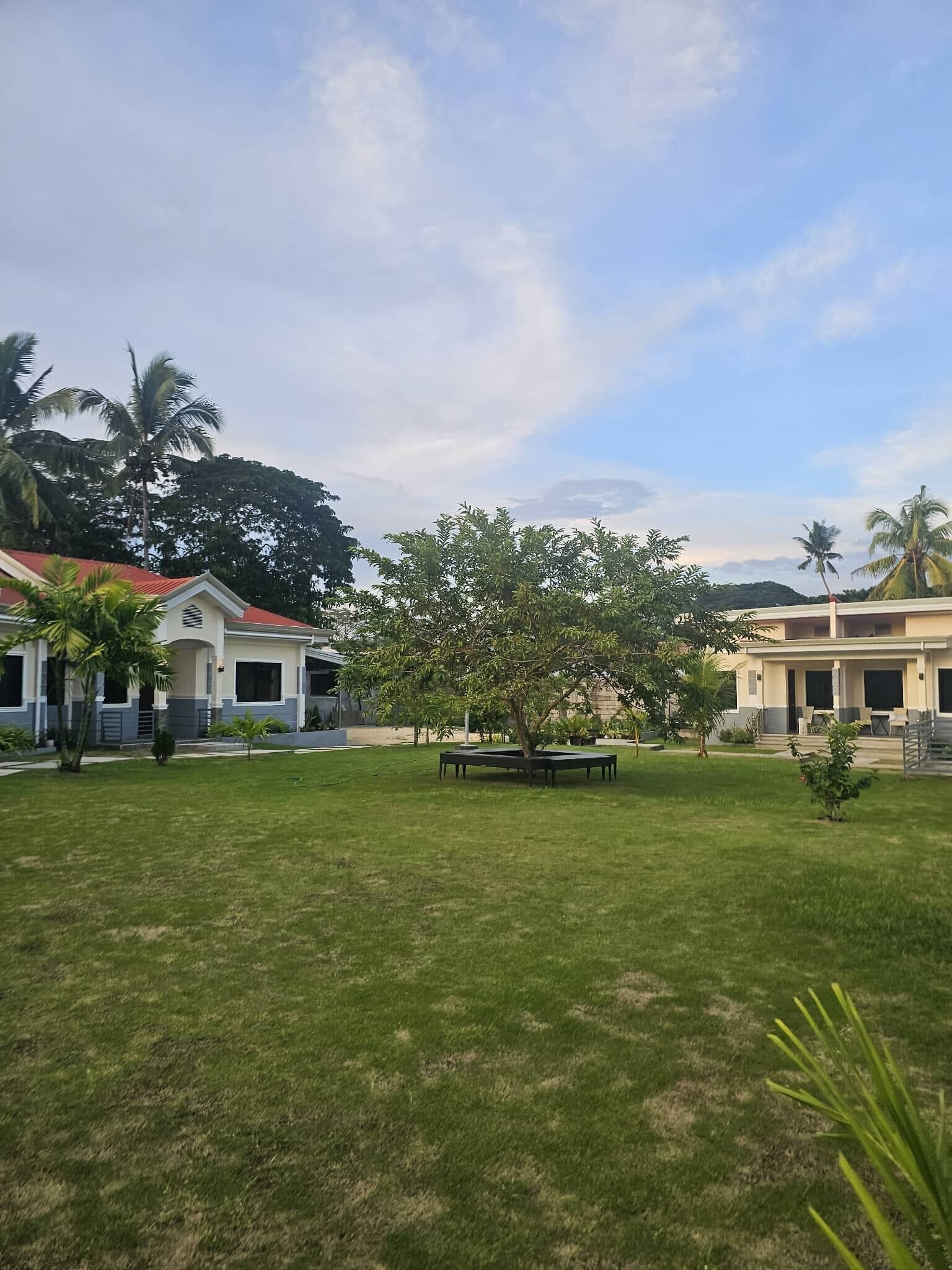 Bureau, draps fournis