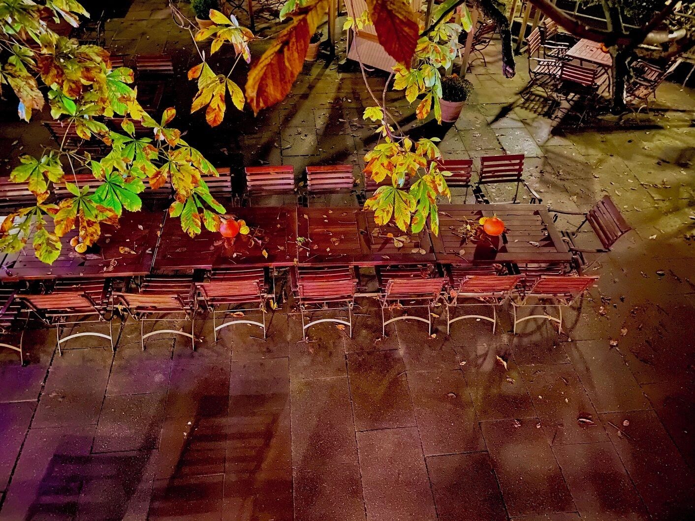 Zona d'estar a l'aire lliure amb taules i bancs, envoltada d'arbres amb fulles d'octubre.