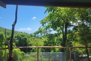 Property grounds - Cabin perched in the forest (Deshaies)