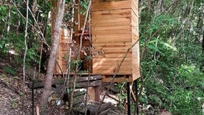 Une structure en bois servant de nichoir, située dans une zone boisée.