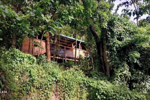 Cabin perched in the forest