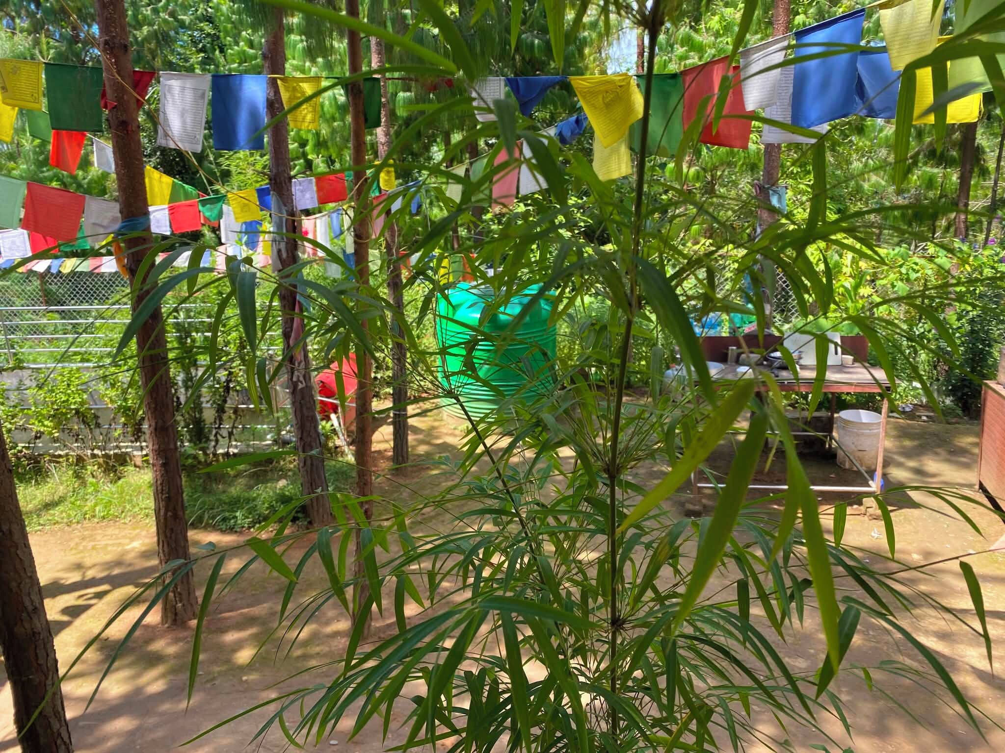 A garden area with a metal fence, a green plastic chair, and colorful prayer flags.