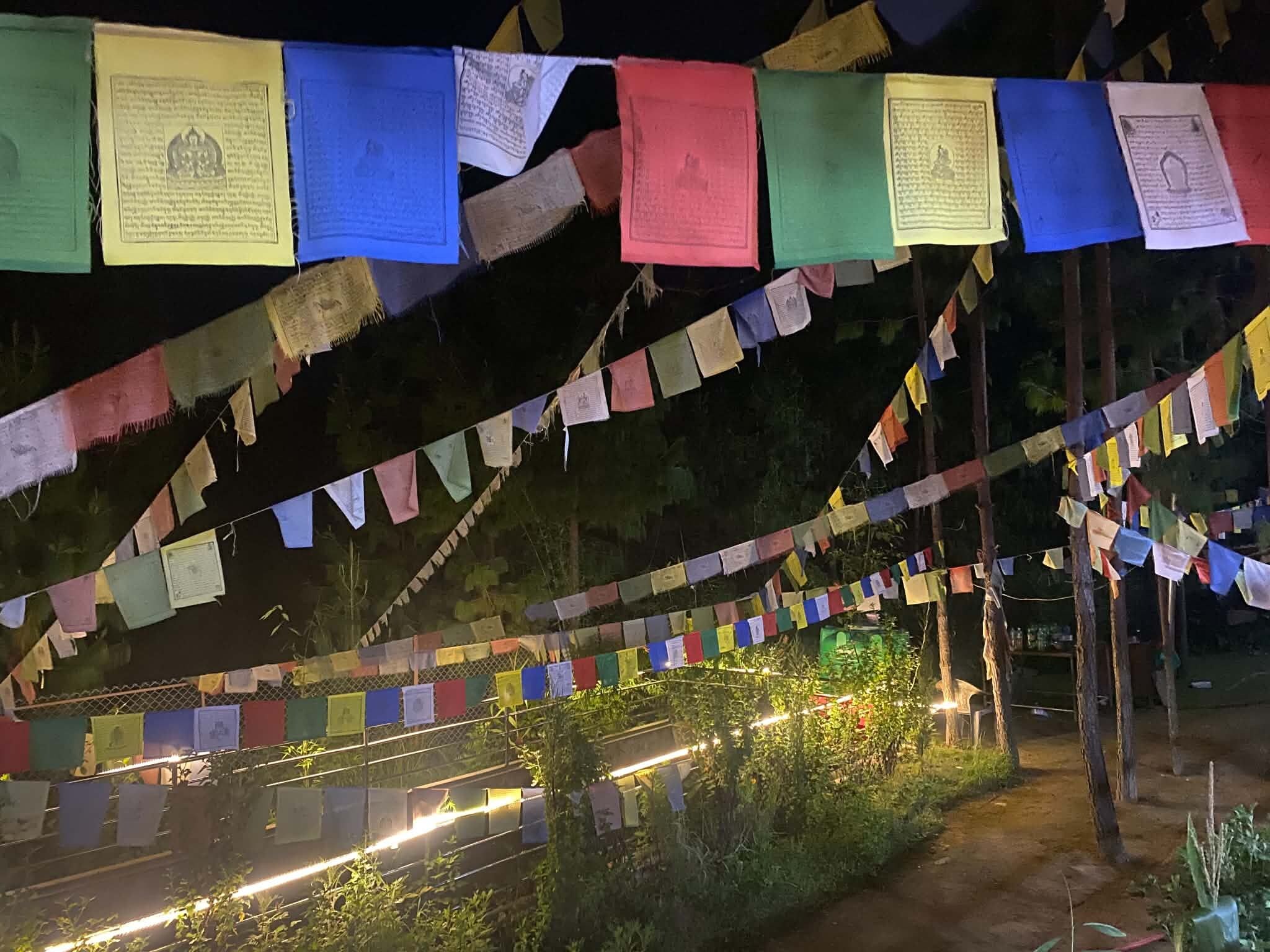 Ein Pfad, gesäumt von Grün und beleuchtet durch künstliche Lichter, mit bunten Gebetsfahnen, die darüber gespannt sind.