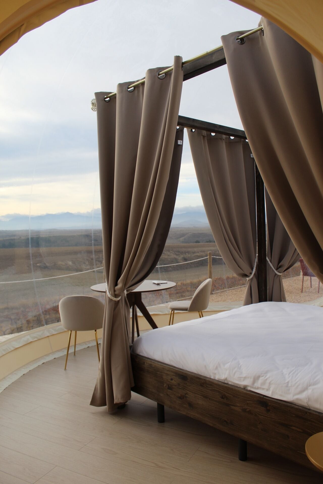 Standard Suite, Mountain View